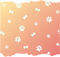 category